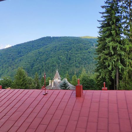 Cozy Loft At Teleferic Leilighet Sinaia Eksteriør bilde