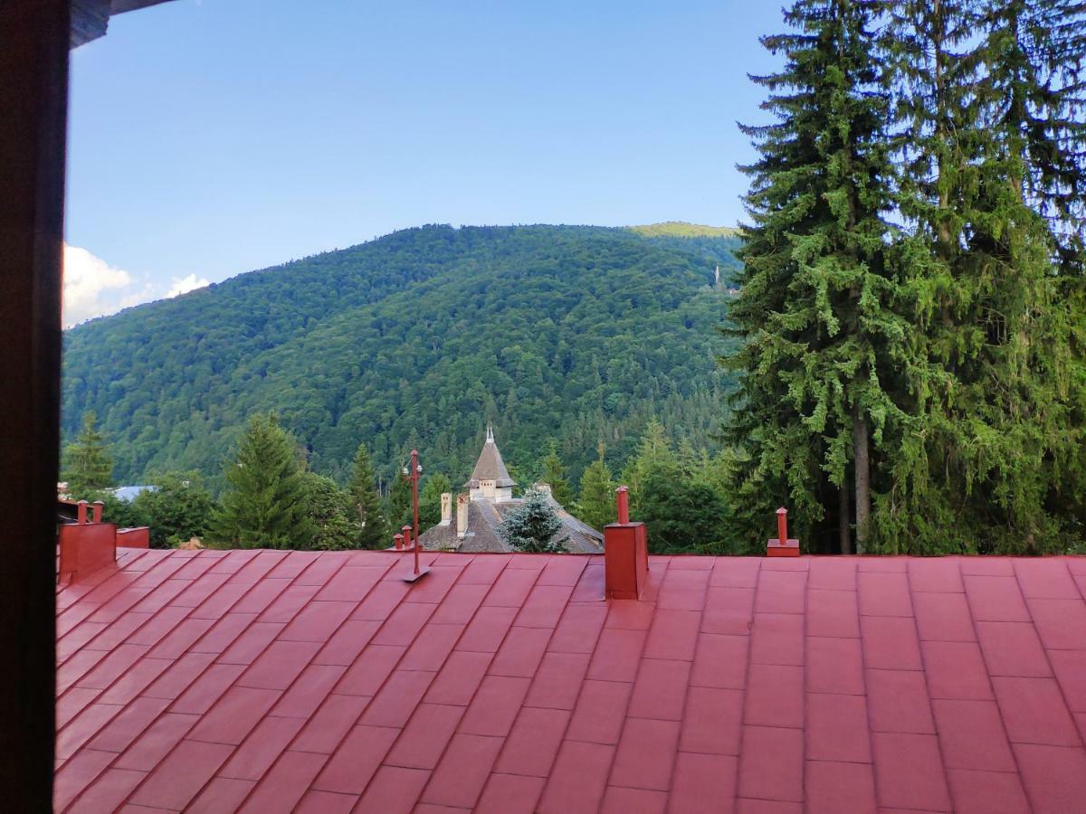 Cozy Loft At Teleferic Leilighet Sinaia Eksteriør bilde